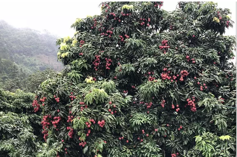 1544061564455689.png QQ图片20181206095908.png