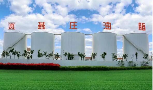 1544151003194351.jpg 7日2.jpg