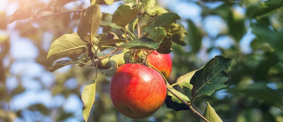 1544405779102793.png QQ图片20181210093607.png