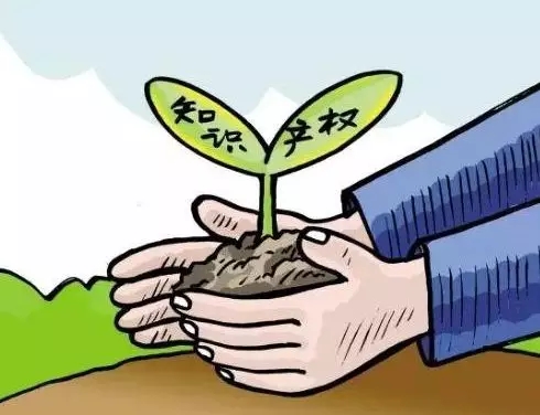 1545619919312126.jpg 640.webp (30).jpg