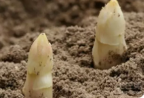 1546392600707906.png 222.png