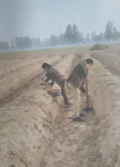 1546392623840109.png 333.png