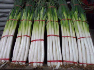 1546494044681608.png 1.png