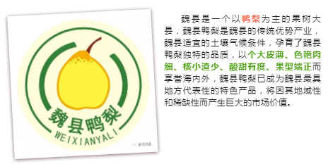 1547519030515896.png QQ图片20190115102241.png