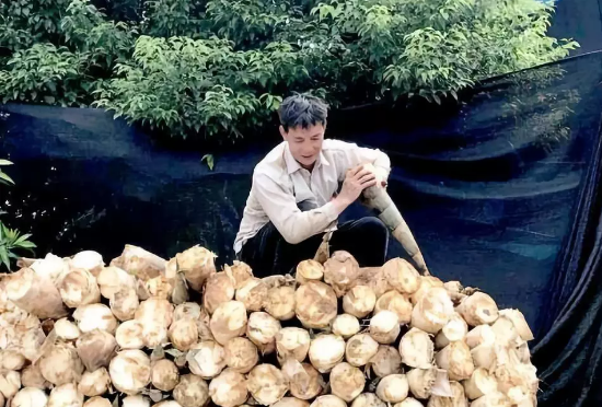 1547524004186833.png 15日1.png