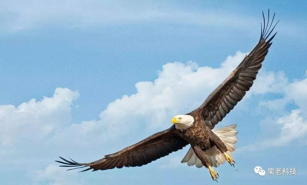 640 (1).webp (1).jpg