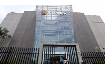 1550025094941228.png 14日1.png