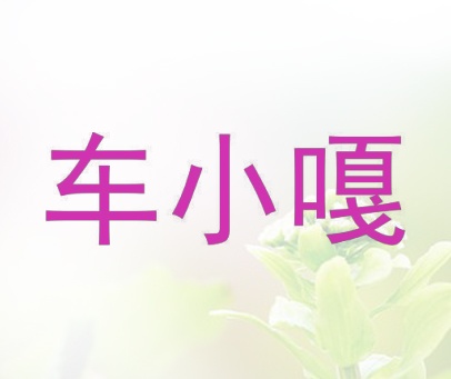 车小嘎