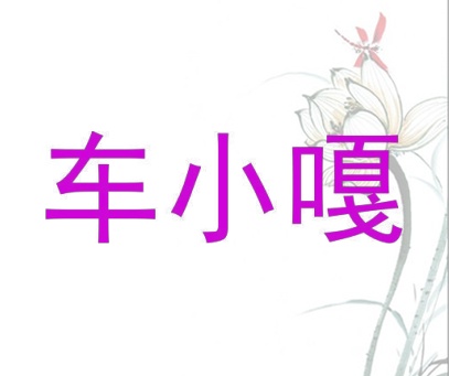 车小嘎
