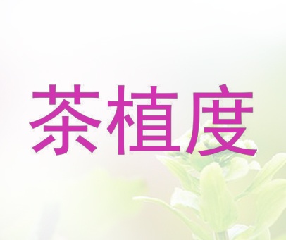 茶植度