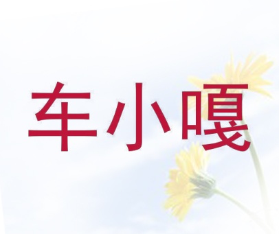 车小嘎