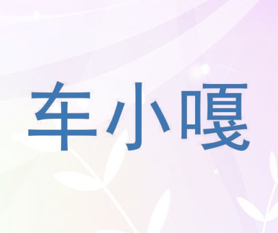 车小嘎