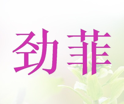 劲菲