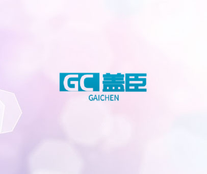 GC 盖臣