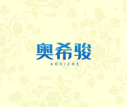 奥希骏 AOXIZHE