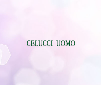 CELUCCI UOMO