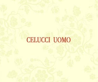 CELUCCI UOMO