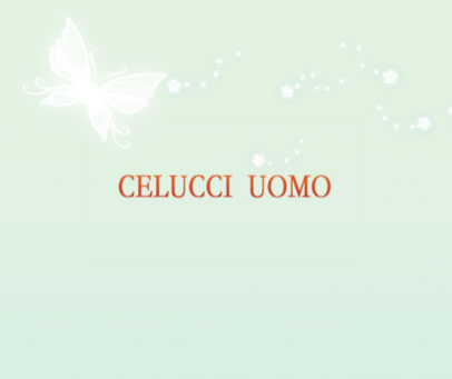 CELUCCI UOMO
