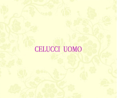 CELUCCI UOMO