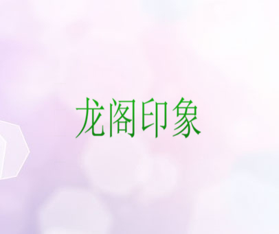 龙阁印象