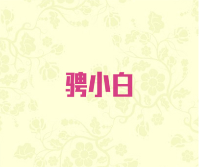 骋小白