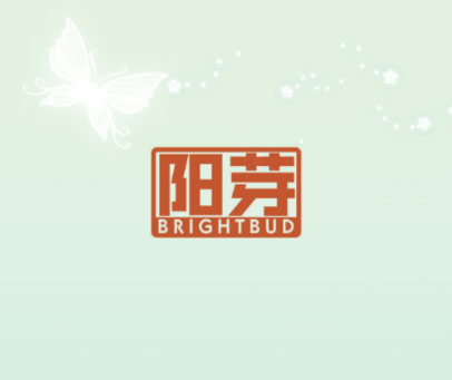 阳芽 BRIGHTBUD