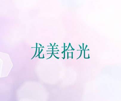 龙美拾光