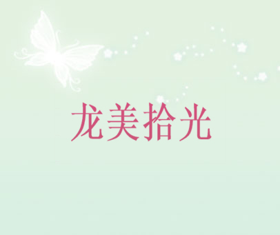 龙美拾光