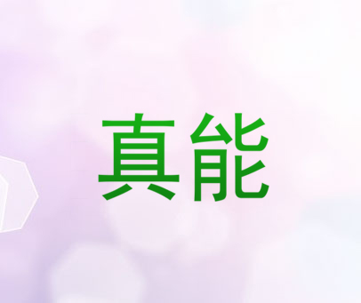 真能