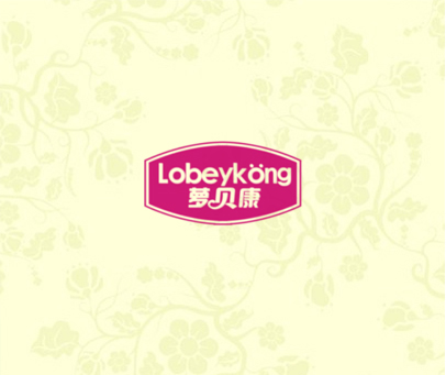 萝贝康 LOBEYKONG