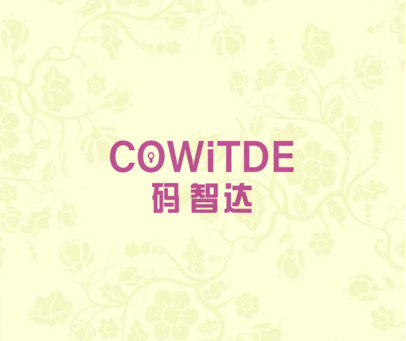 码智达 COWITDE