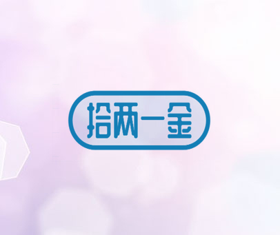 拾两一金