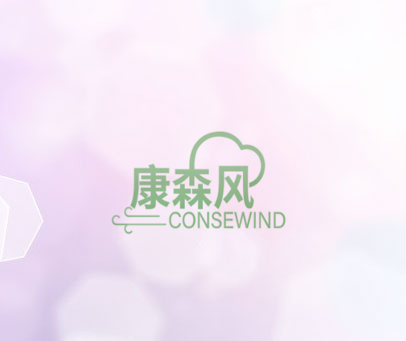 康森风 CONSEWIND