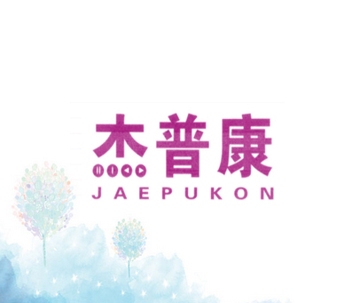 杰普康 JAEPUKON