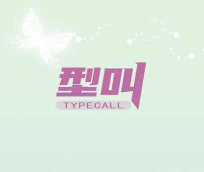 型叫 TYPECALL