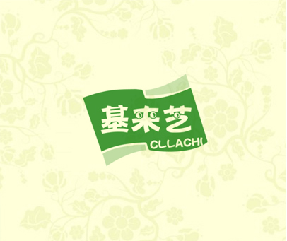 基来芝 CLLACHI