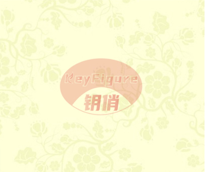 钥俏 KEYFIGURE