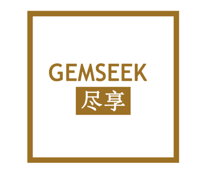 尽享 GEMSEEK