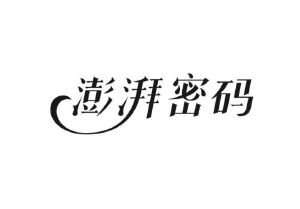 澎湃密码