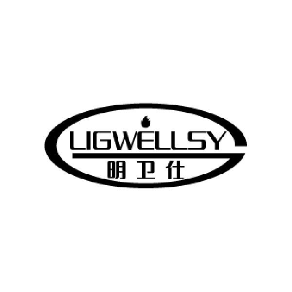 LIGWELLSY 明卫仕