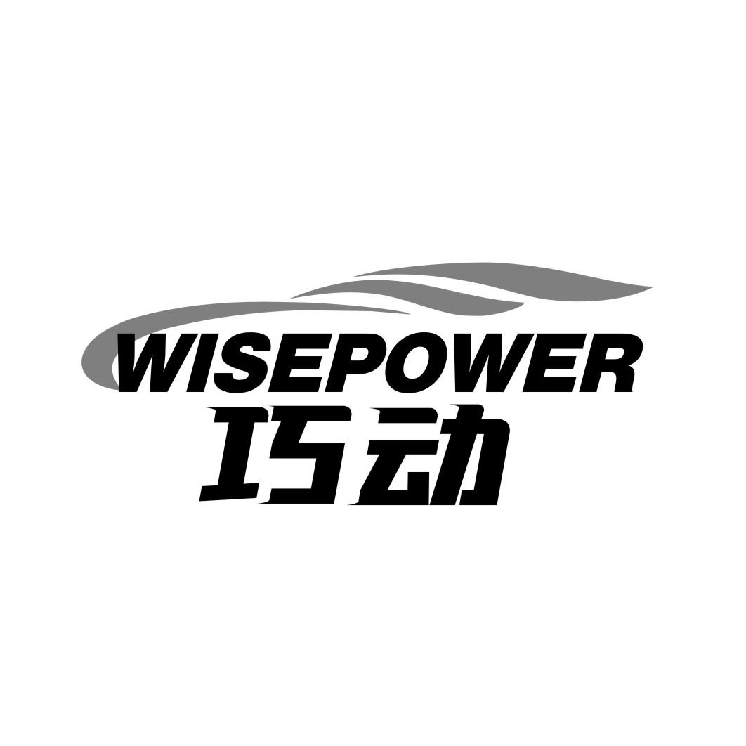 巧动 WISEPOWER