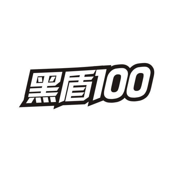 黑盾100
