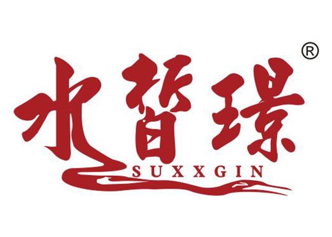 水皙璟 SUXXGIN