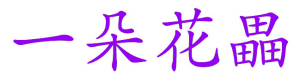 一朵花畾