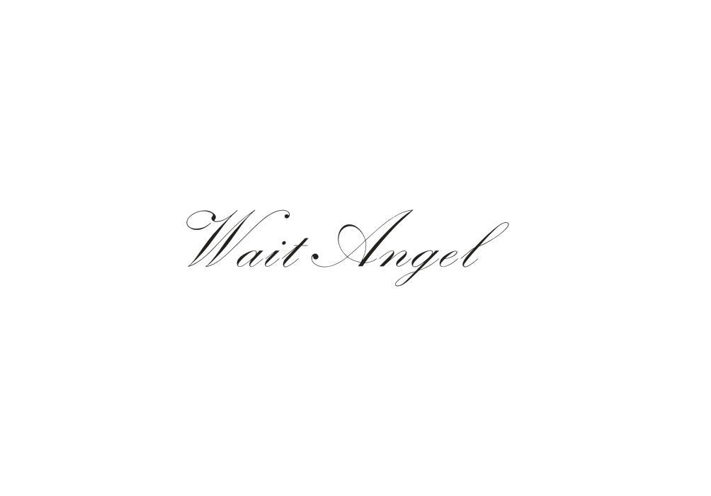 WAIT ANGEL
