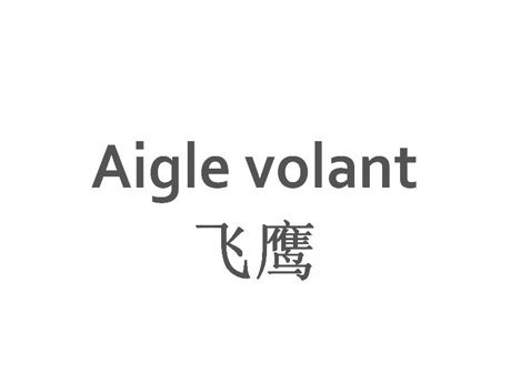 飞鹰 AIGLE VOLANT