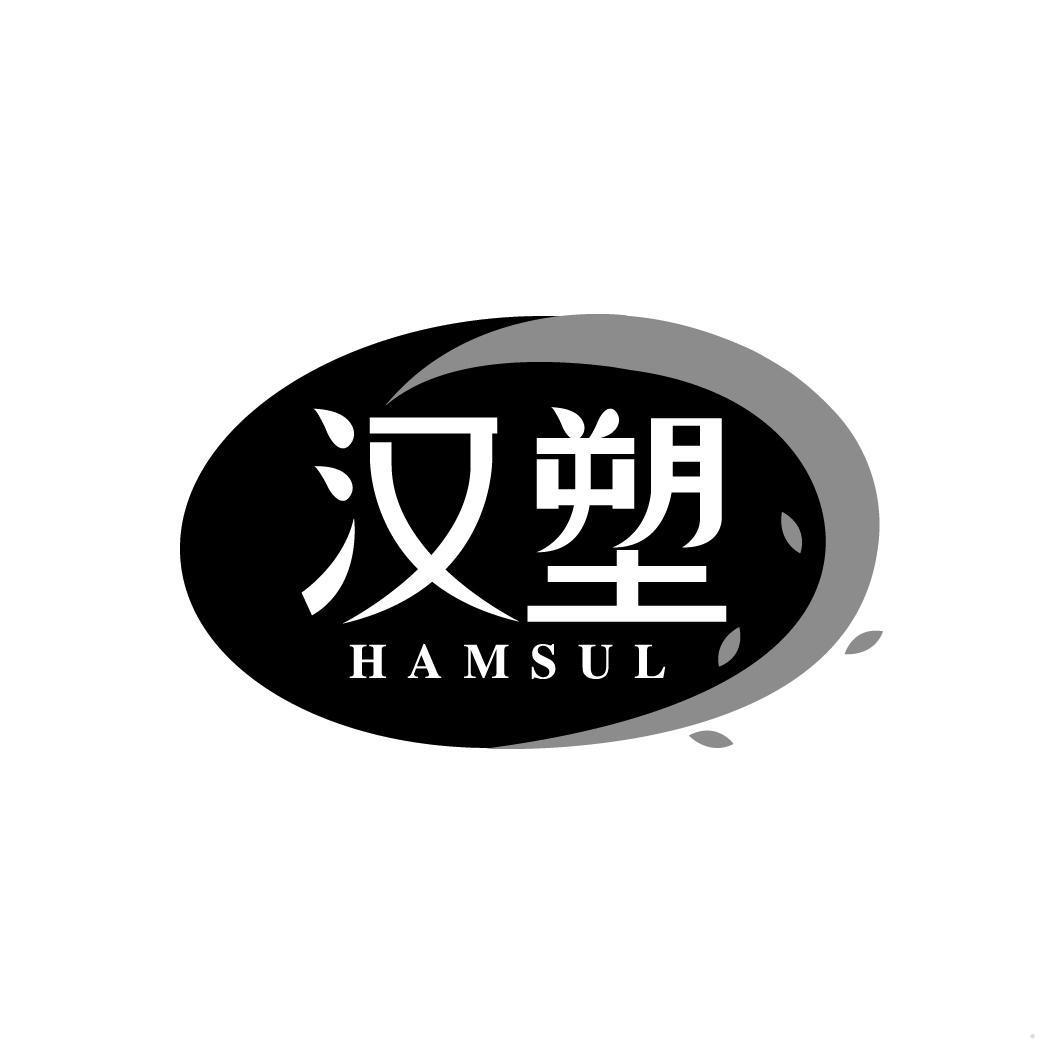 汉塑 HAMSUL