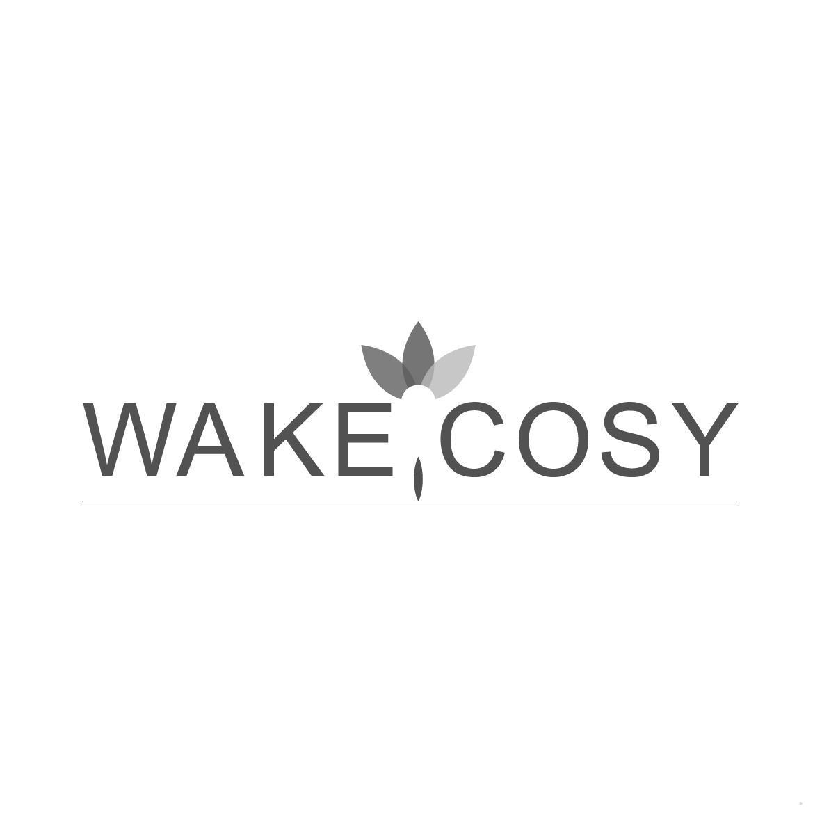 WAKE COSY