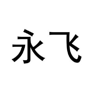 永飞