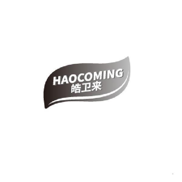 皓卫来 HAOCOMING